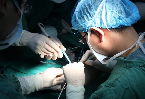 赵晓航 一心一意搞科研，励精图治谋发展